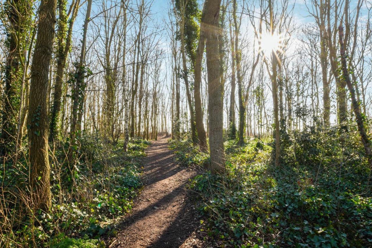 Sunnybeachhouse Aan Het Bos, Tussen Zee En Meer. Noordwijkerhout Exteriör bild